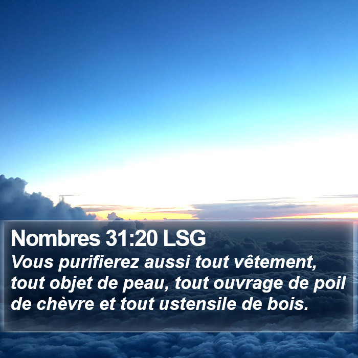 Nombres 31:20 LSG Bible Study