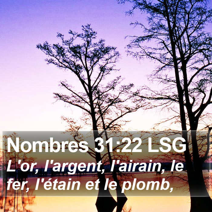 Nombres 31:22 LSG Bible Study