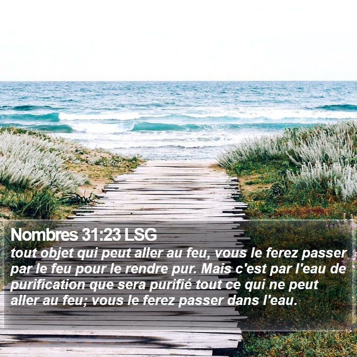 Nombres 31:23 LSG Bible Study