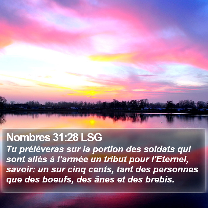 Nombres 31:28 LSG Bible Study