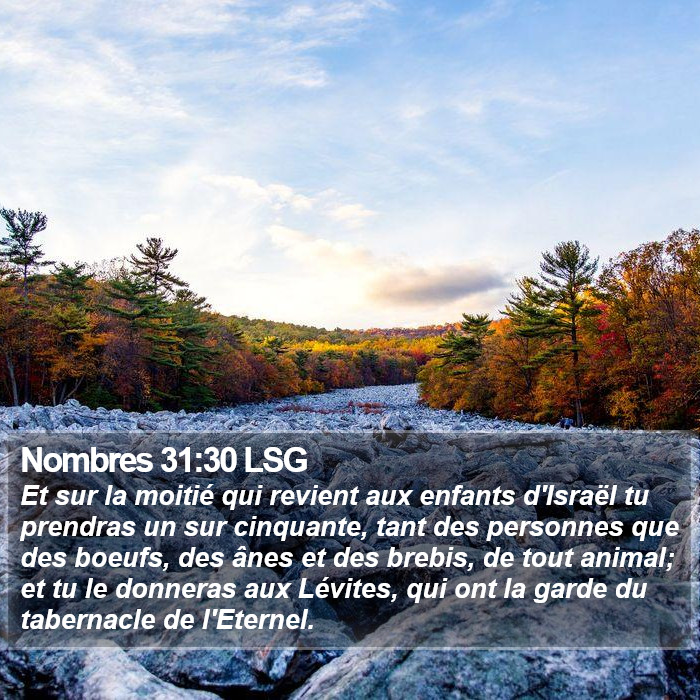 Nombres 31:30 LSG Bible Study