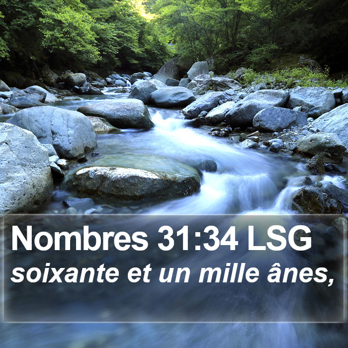 Nombres 31:34 LSG Bible Study