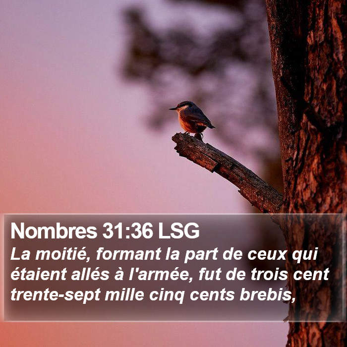 Nombres 31:36 LSG Bible Study