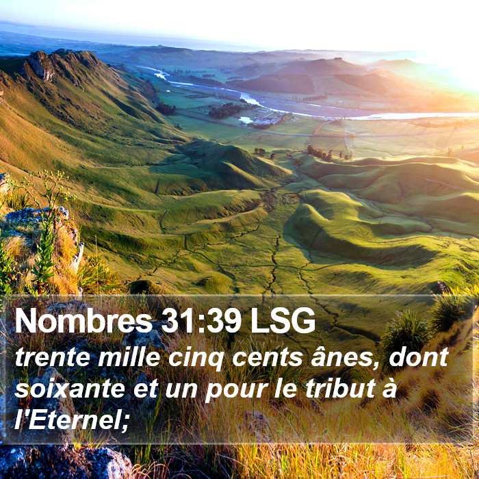 Nombres 31:39 LSG Bible Study