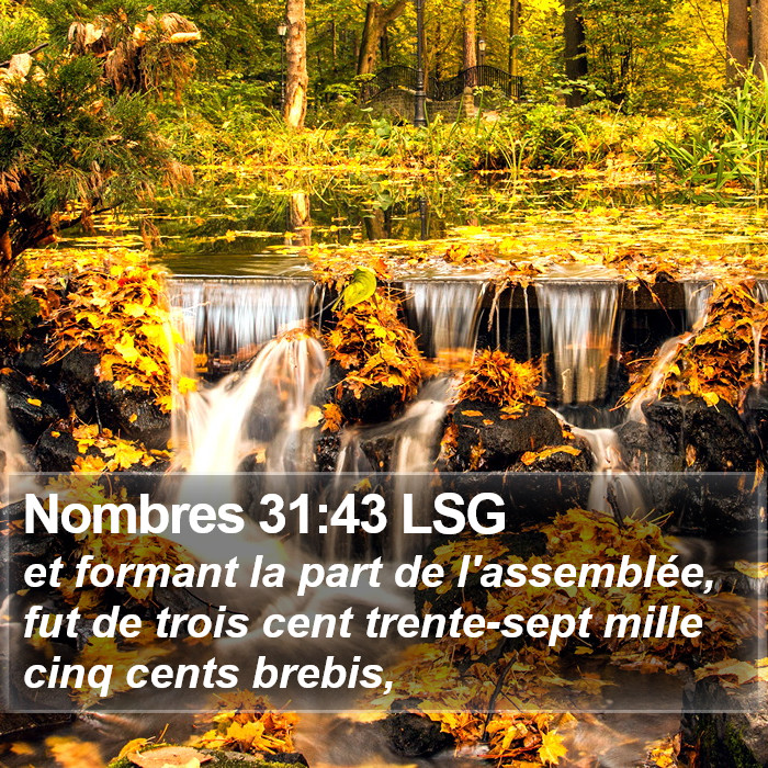 Nombres 31:43 LSG Bible Study