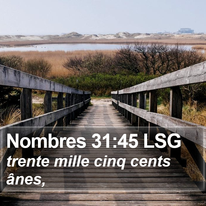 Nombres 31:45 LSG Bible Study