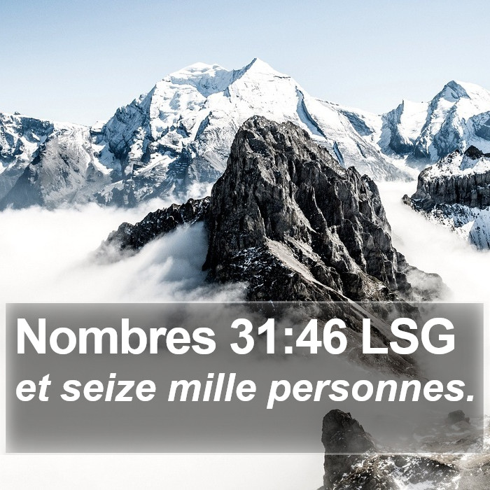 Nombres 31:46 LSG Bible Study