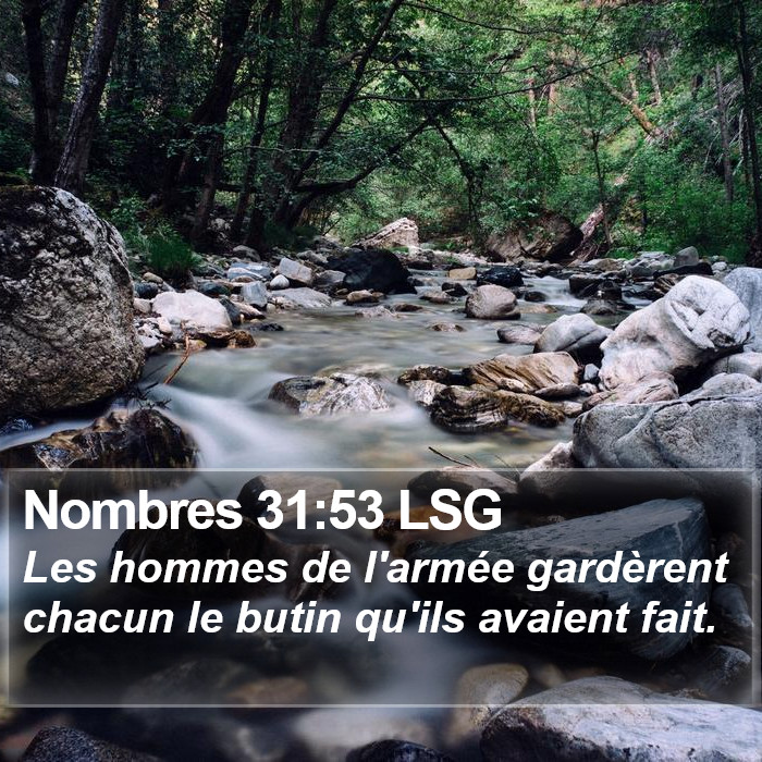 Nombres 31:53 LSG Bible Study