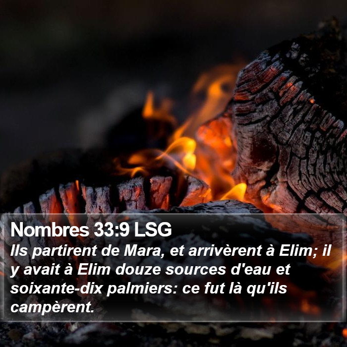 Nombres 33:9 LSG Bible Study