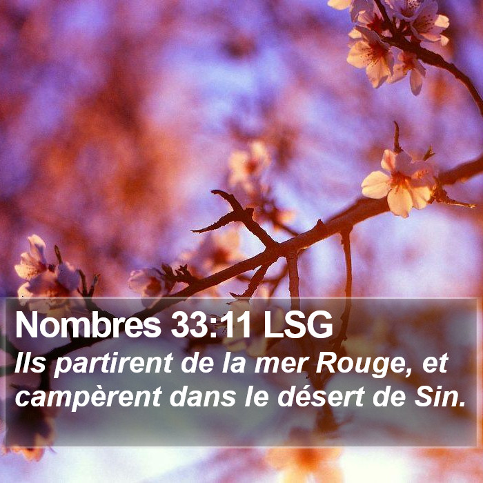 Nombres 33:11 LSG Bible Study
