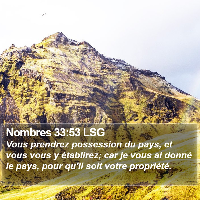 Nombres 33:53 LSG Bible Study