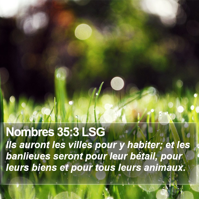 Nombres 35:3 LSG Bible Study