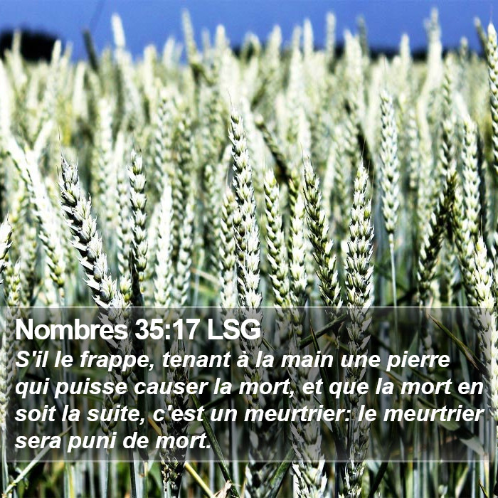 Nombres 35:17 LSG Bible Study