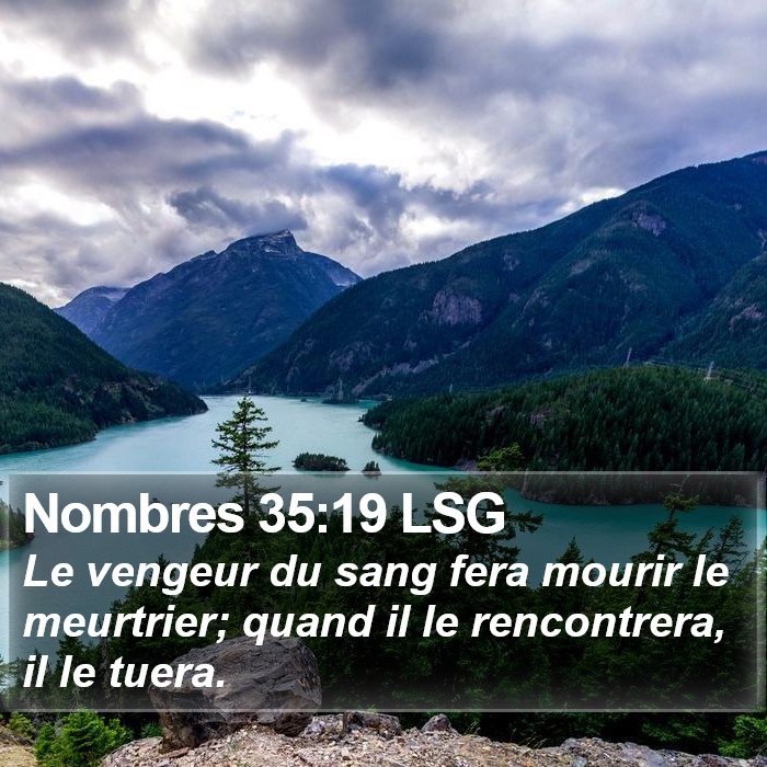 Nombres 35:19 LSG Bible Study
