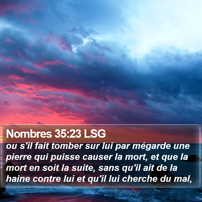 Nombres 35:23 LSG Bible Study