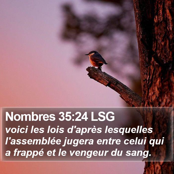 Nombres 35:24 LSG Bible Study