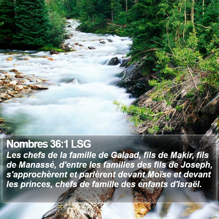 Nombres 36:1 LSG Bible Study