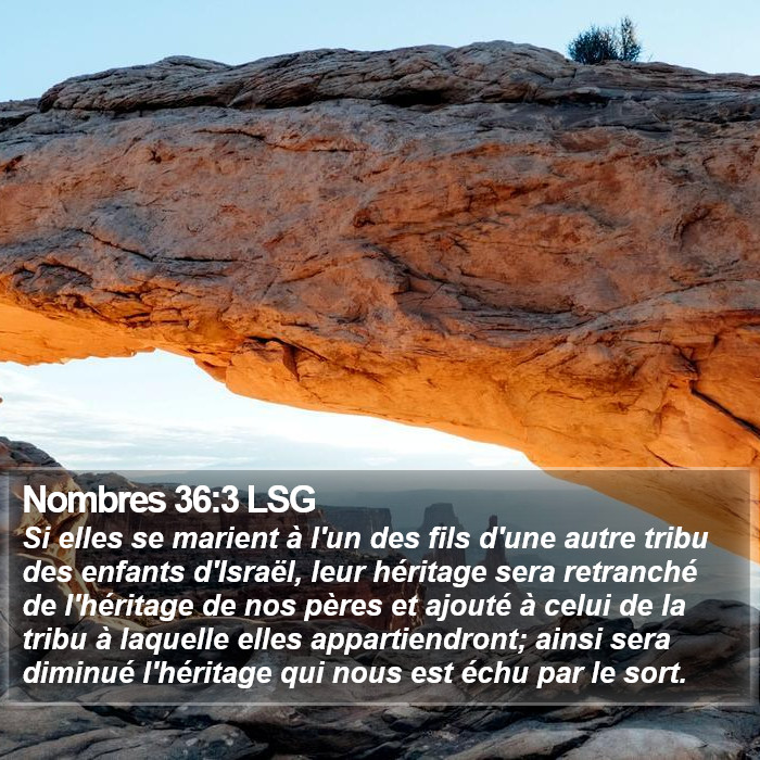 Nombres 36:3 LSG Bible Study