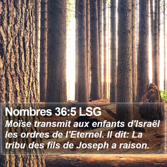 Nombres 36:5 LSG Bible Study
