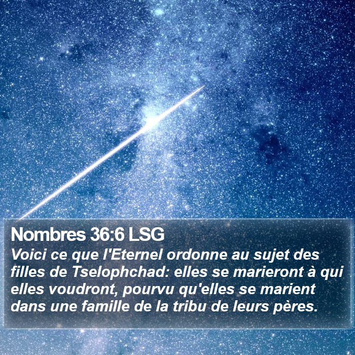 Nombres 36:6 LSG Bible Study
