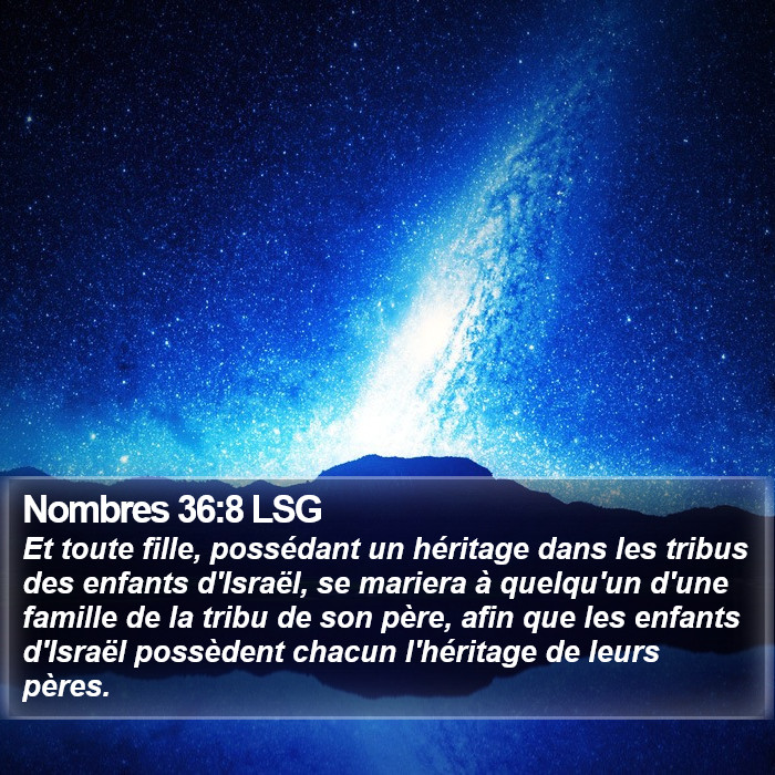Nombres 36:8 LSG Bible Study