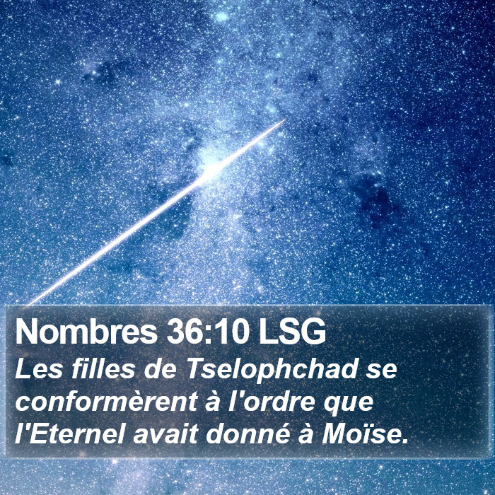 Nombres 36:10 LSG Bible Study