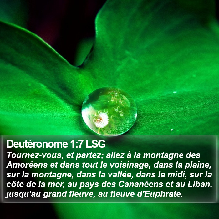 Deutéronome 1:7 LSG Bible Study