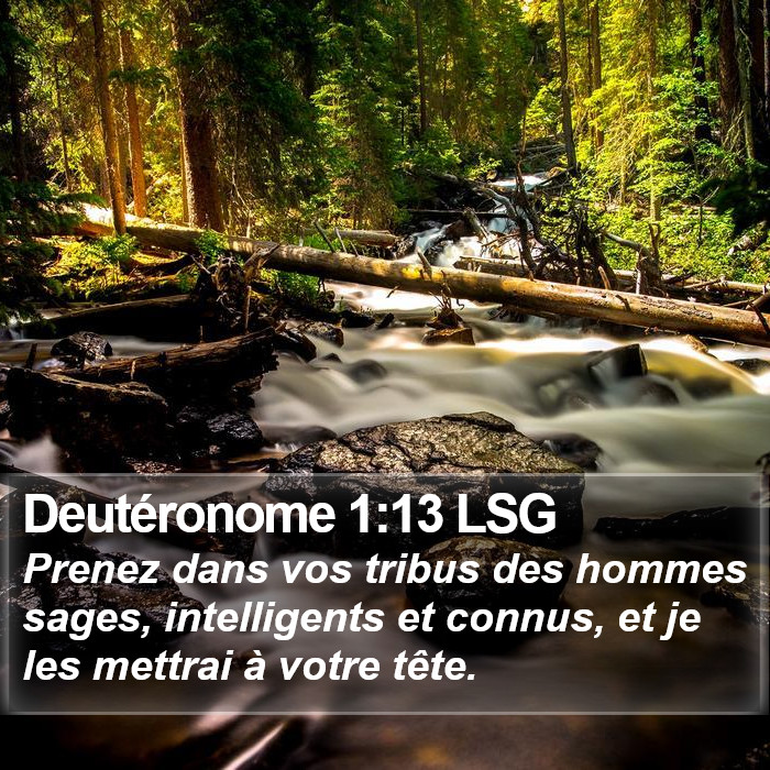 Deutéronome 1:13 LSG Bible Study
