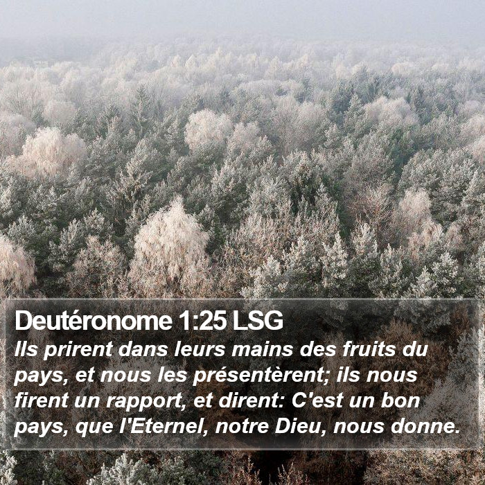 Deutéronome 1:25 LSG Bible Study