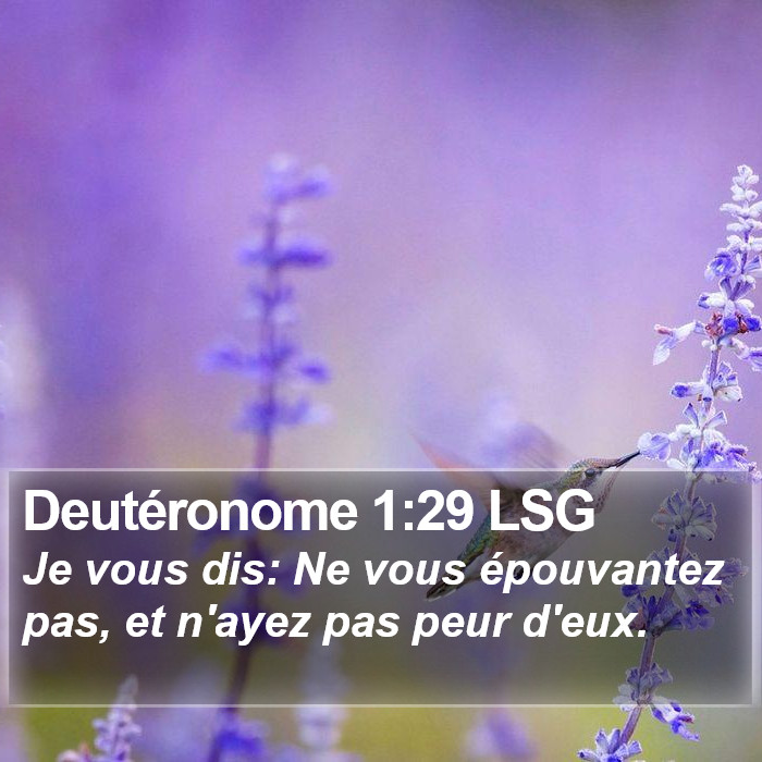 Deutéronome 1:29 LSG Bible Study