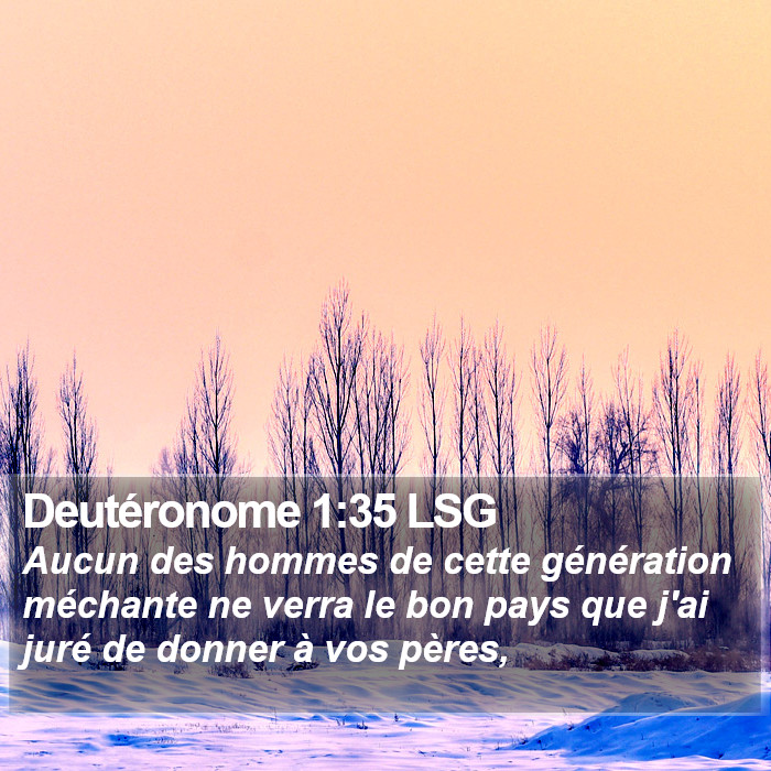 Deutéronome 1:35 LSG Bible Study