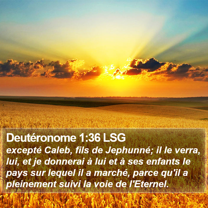 Deutéronome 1:36 LSG Bible Study