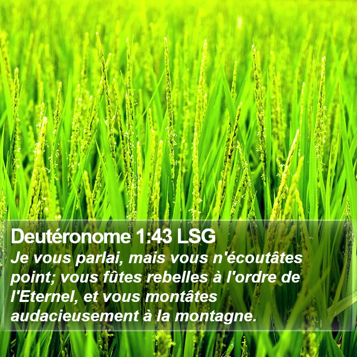 Deutéronome 1:43 LSG Bible Study