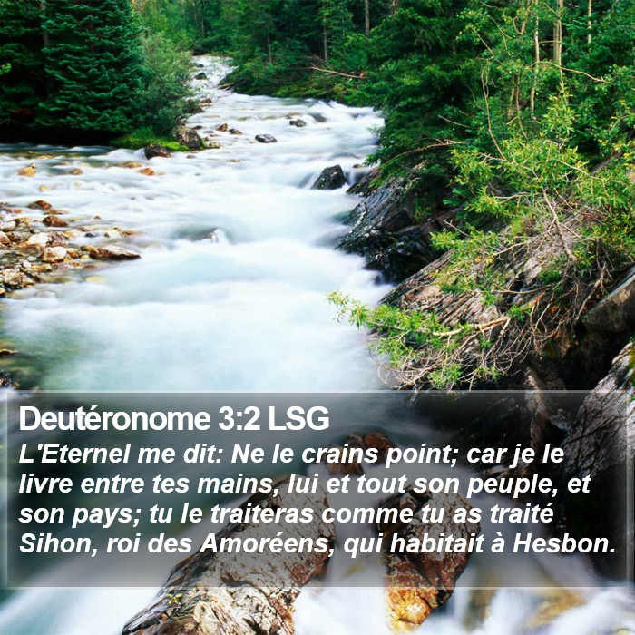 Deutéronome 3:2 LSG Bible Study