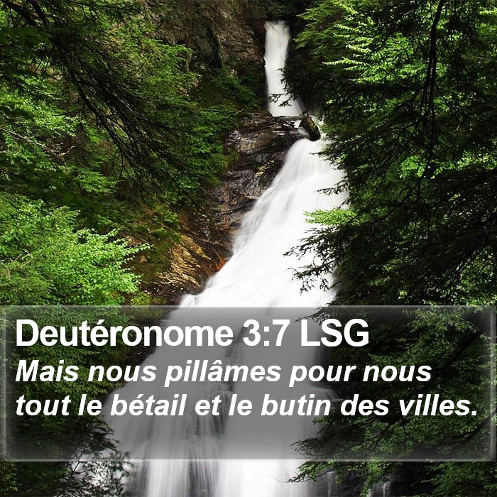 Deutéronome 3:7 LSG Bible Study