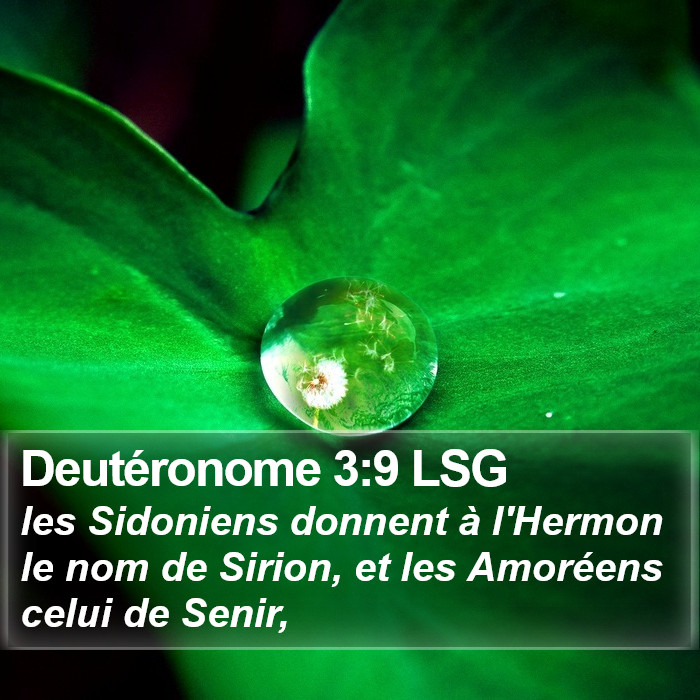 Deutéronome 3:9 LSG Bible Study