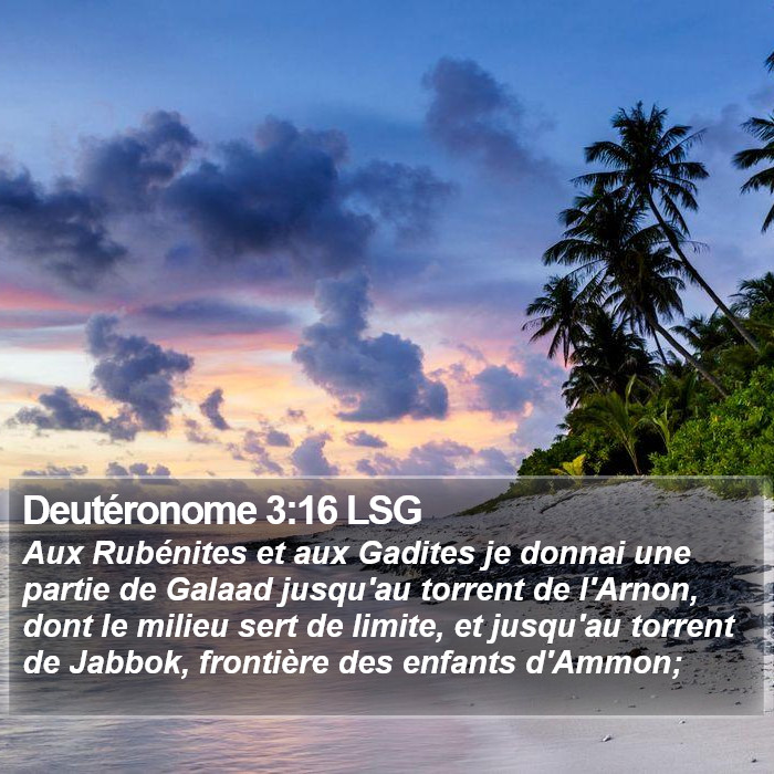 Deutéronome 3:16 LSG Bible Study