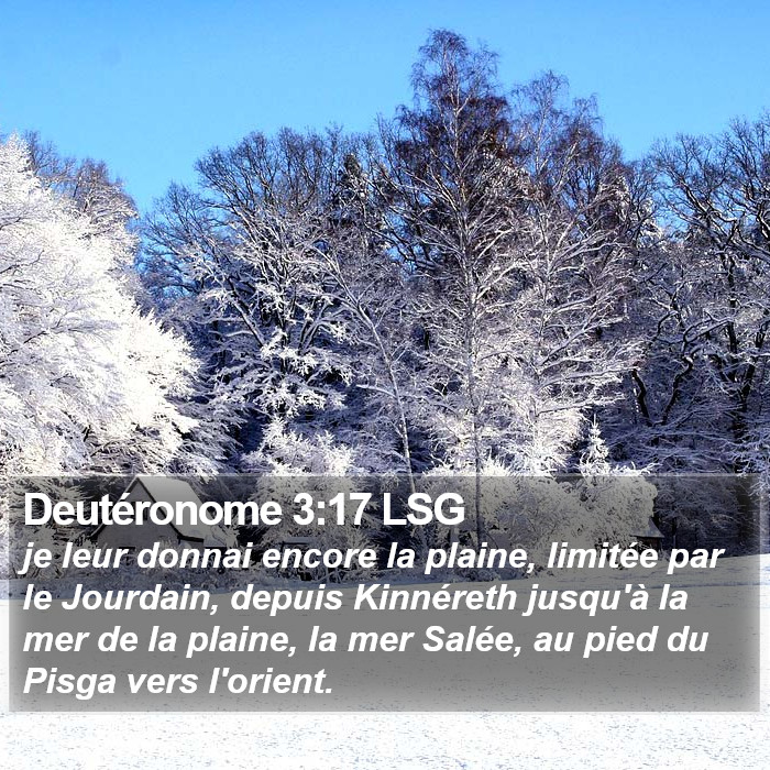 Deutéronome 3:17 LSG Bible Study