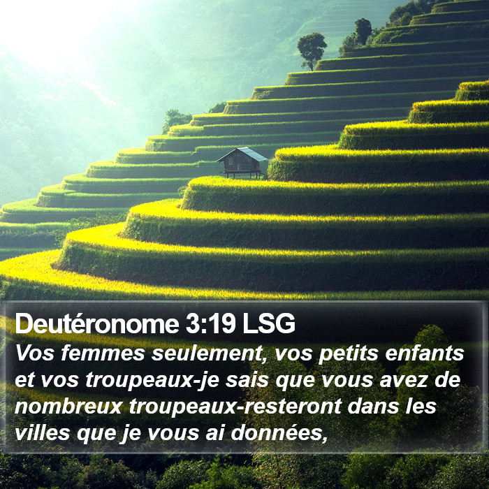 Deutéronome 3:19 LSG Bible Study