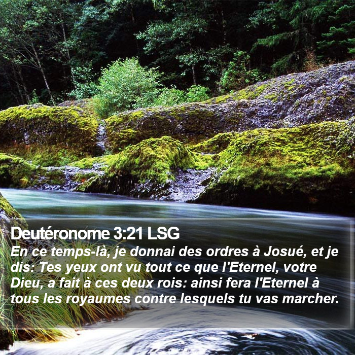 Deutéronome 3:21 LSG Bible Study