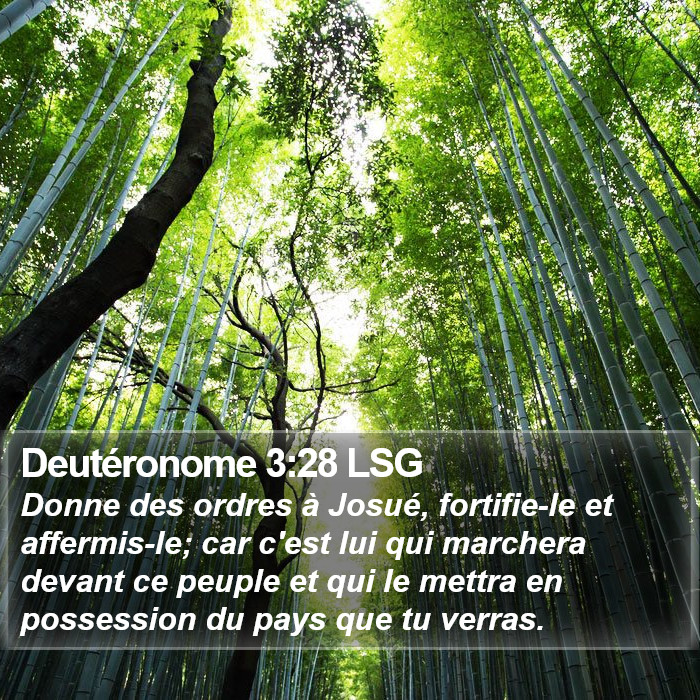 Deutéronome 3:28 LSG Bible Study