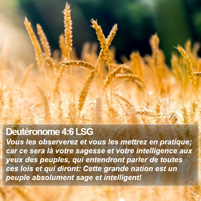 Deutéronome 4:6 LSG Bible Study