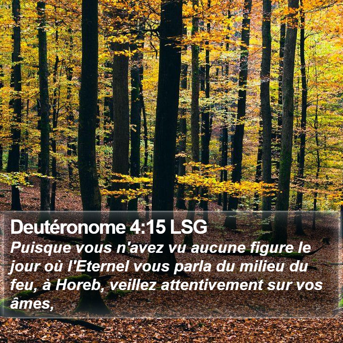 Deutéronome 4:15 LSG Bible Study