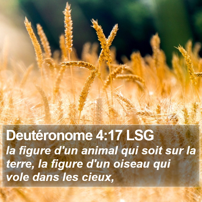 Deutéronome 4:17 LSG Bible Study