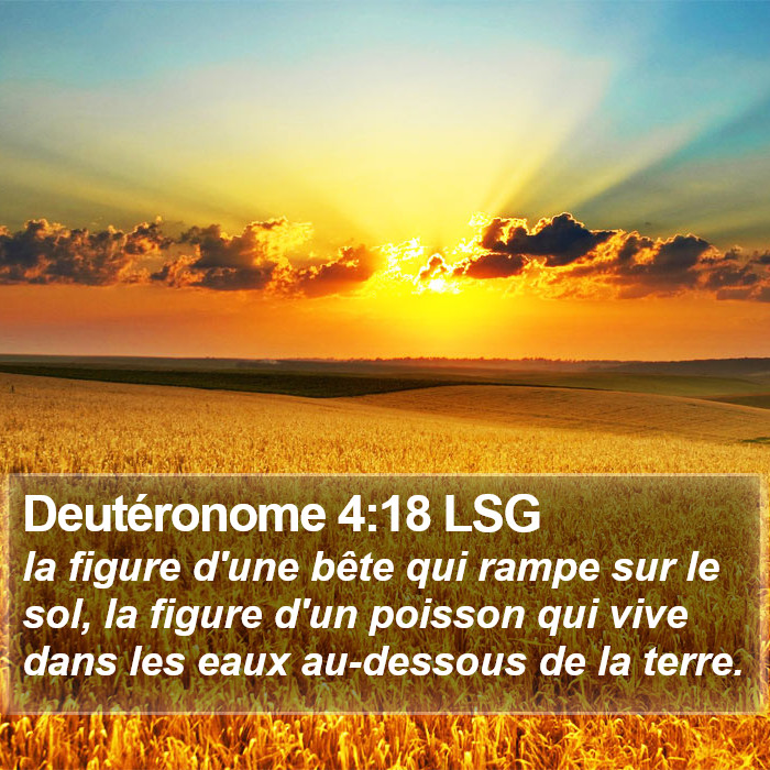 Deutéronome 4:18 LSG Bible Study