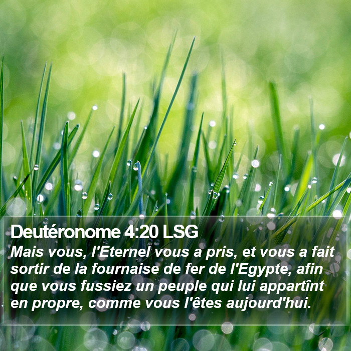 Deutéronome 4:20 LSG Bible Study