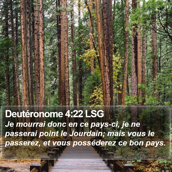 Deutéronome 4:22 LSG Bible Study
