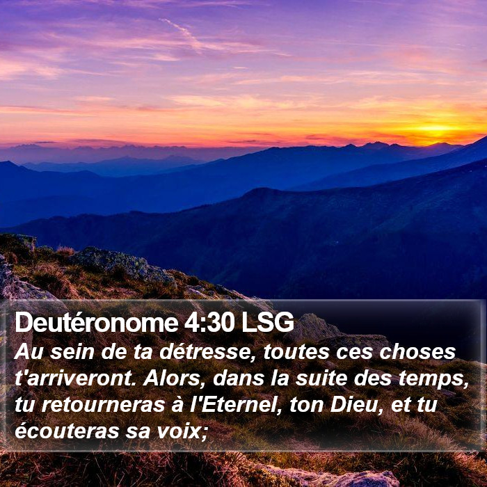 Deutéronome 4:30 LSG Bible Study