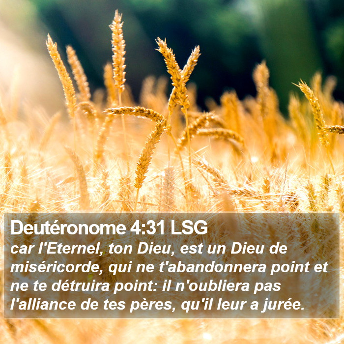 Deutéronome 4:31 LSG Bible Study