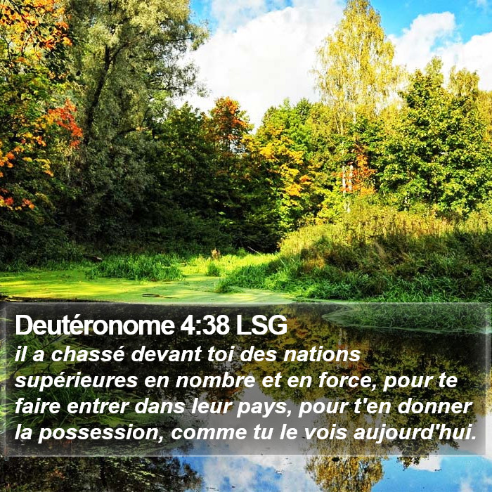 Deutéronome 4:38 LSG Bible Study
